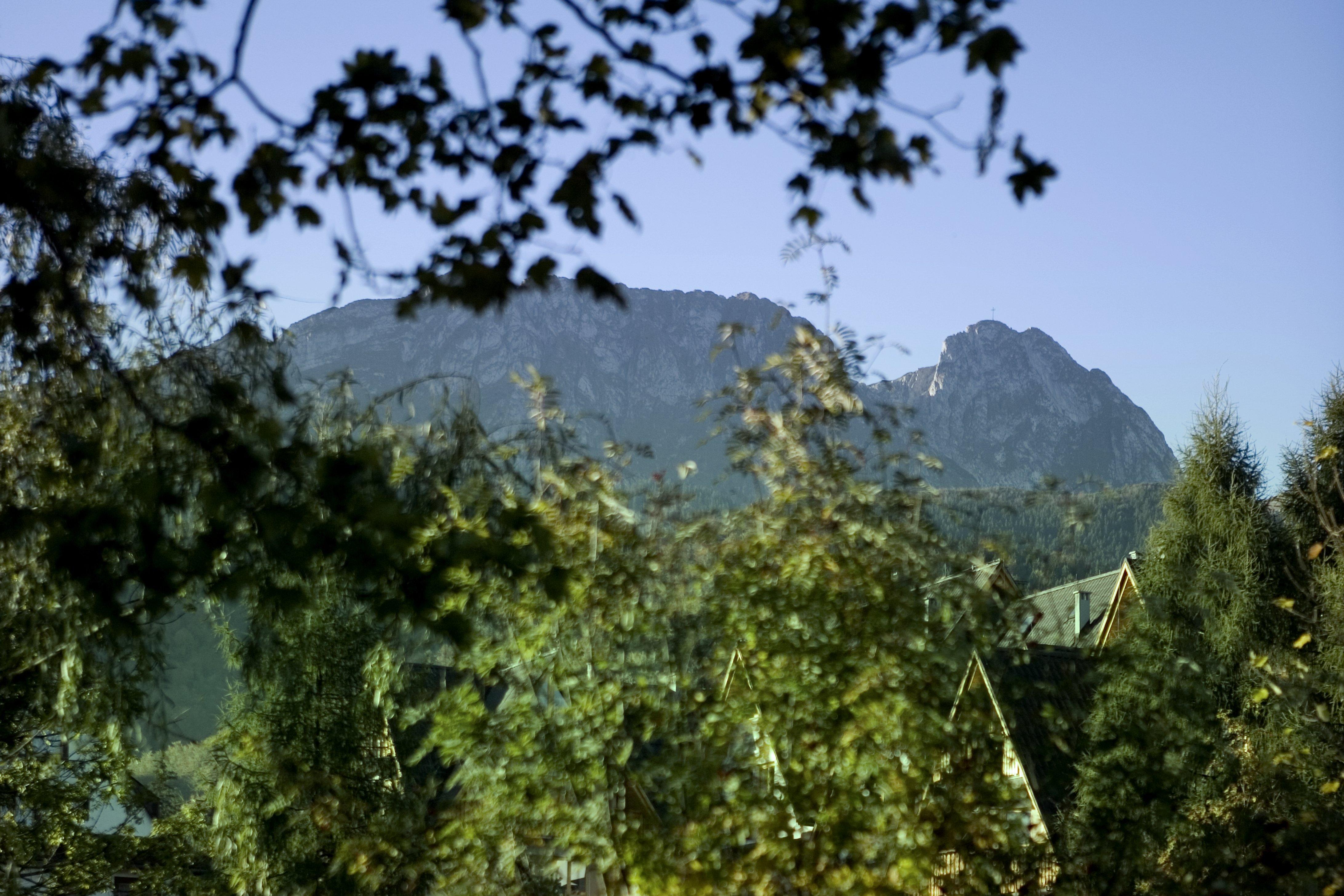 Szarotka Hotell Zakopane Exteriör bild