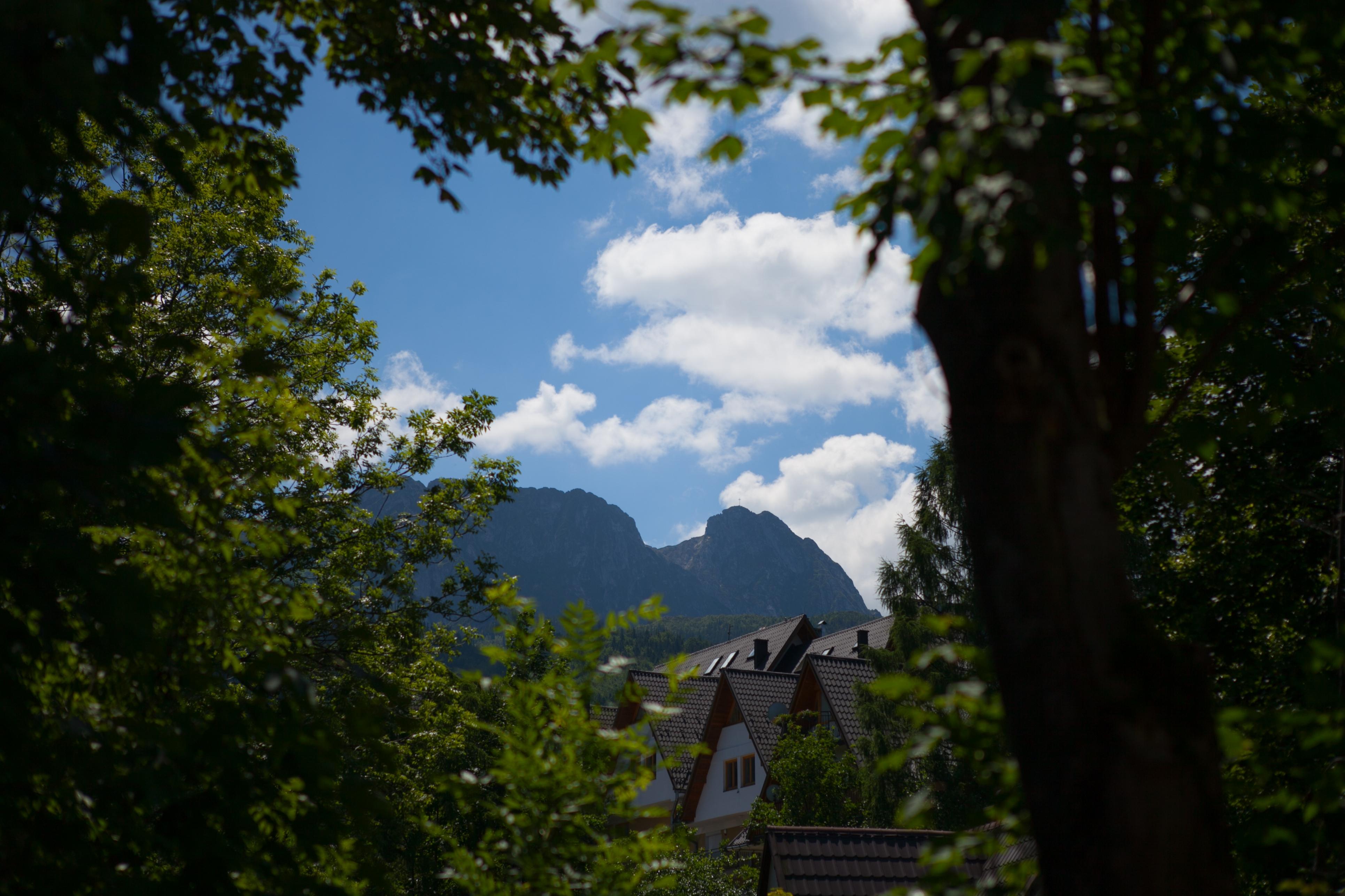 Szarotka Hotell Zakopane Exteriör bild