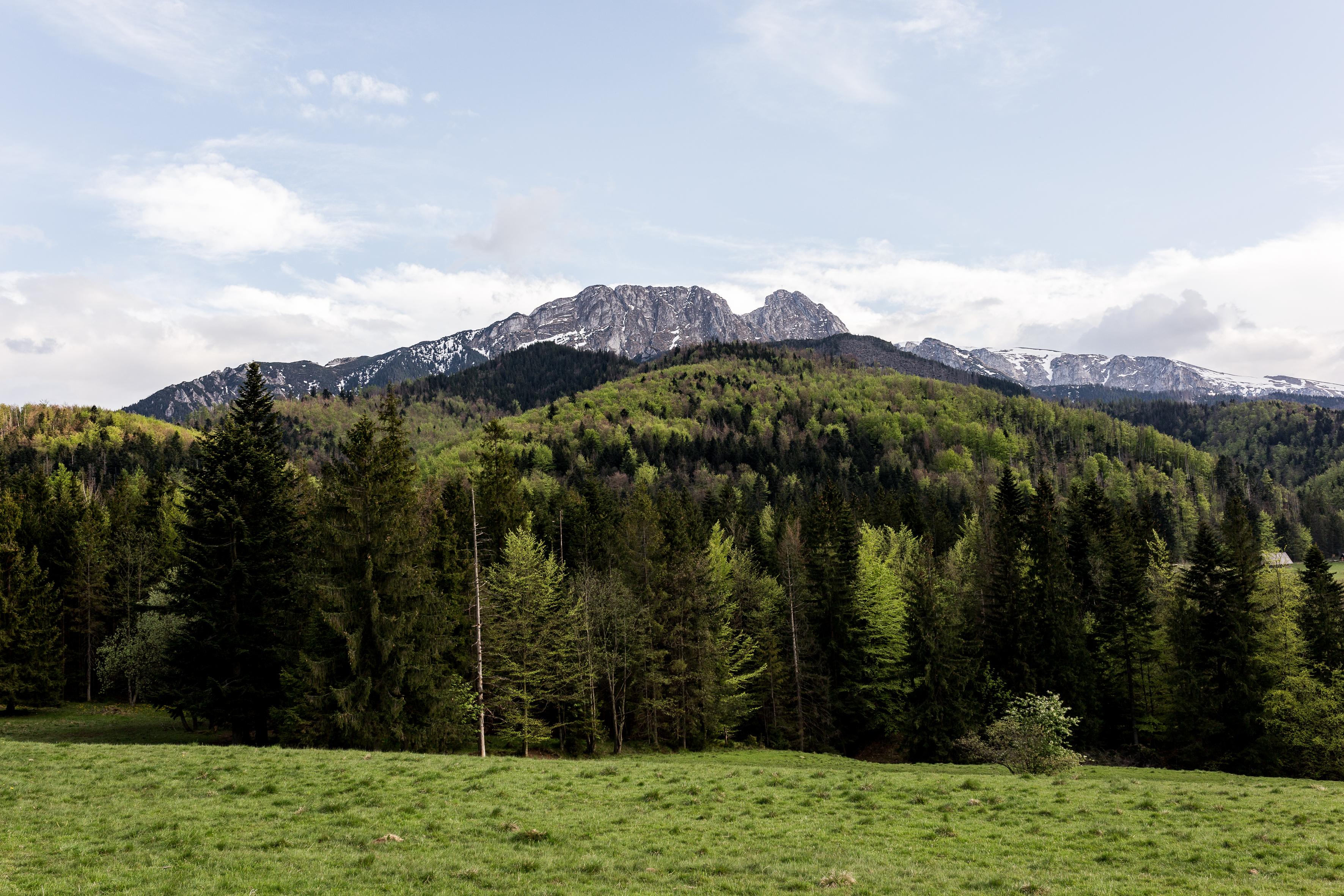 Szarotka Hotell Zakopane Exteriör bild